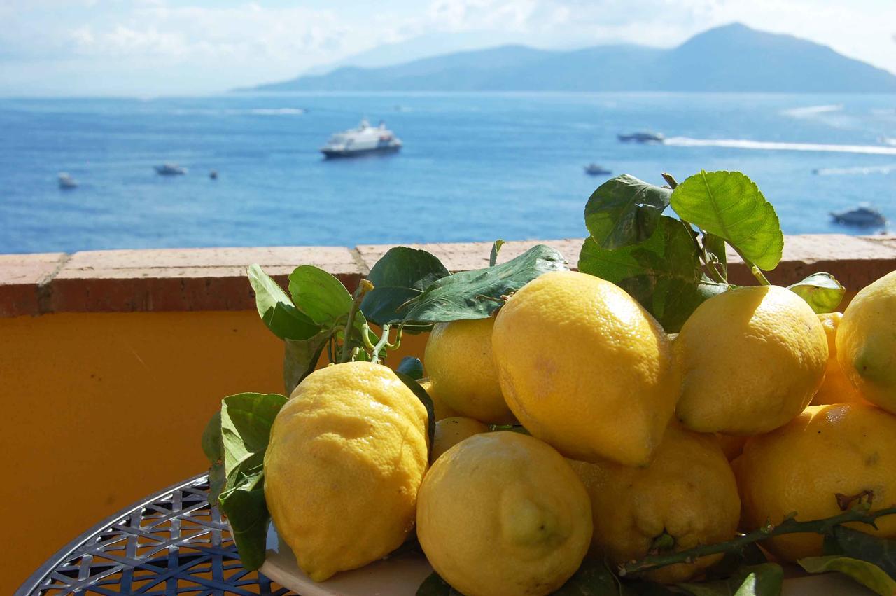 카프리 La Terrazza Sul Mare B&B 외부 사진
