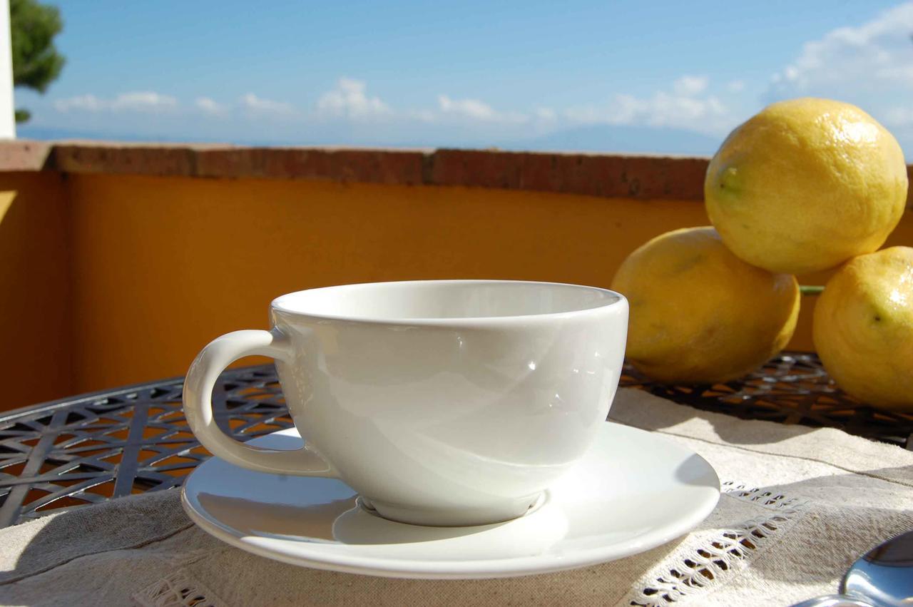 카프리 La Terrazza Sul Mare B&B 외부 사진