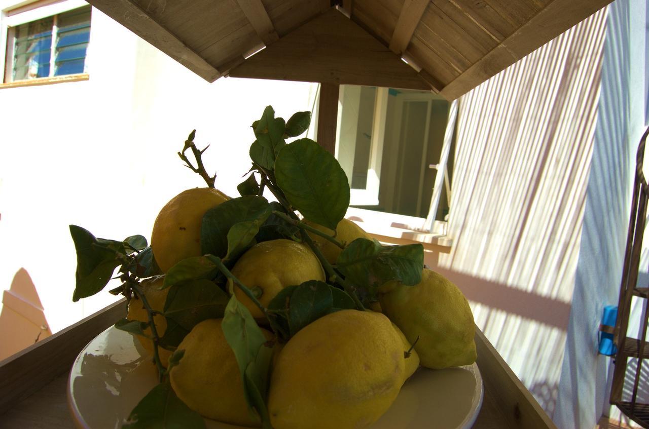 카프리 La Terrazza Sul Mare B&B 외부 사진
