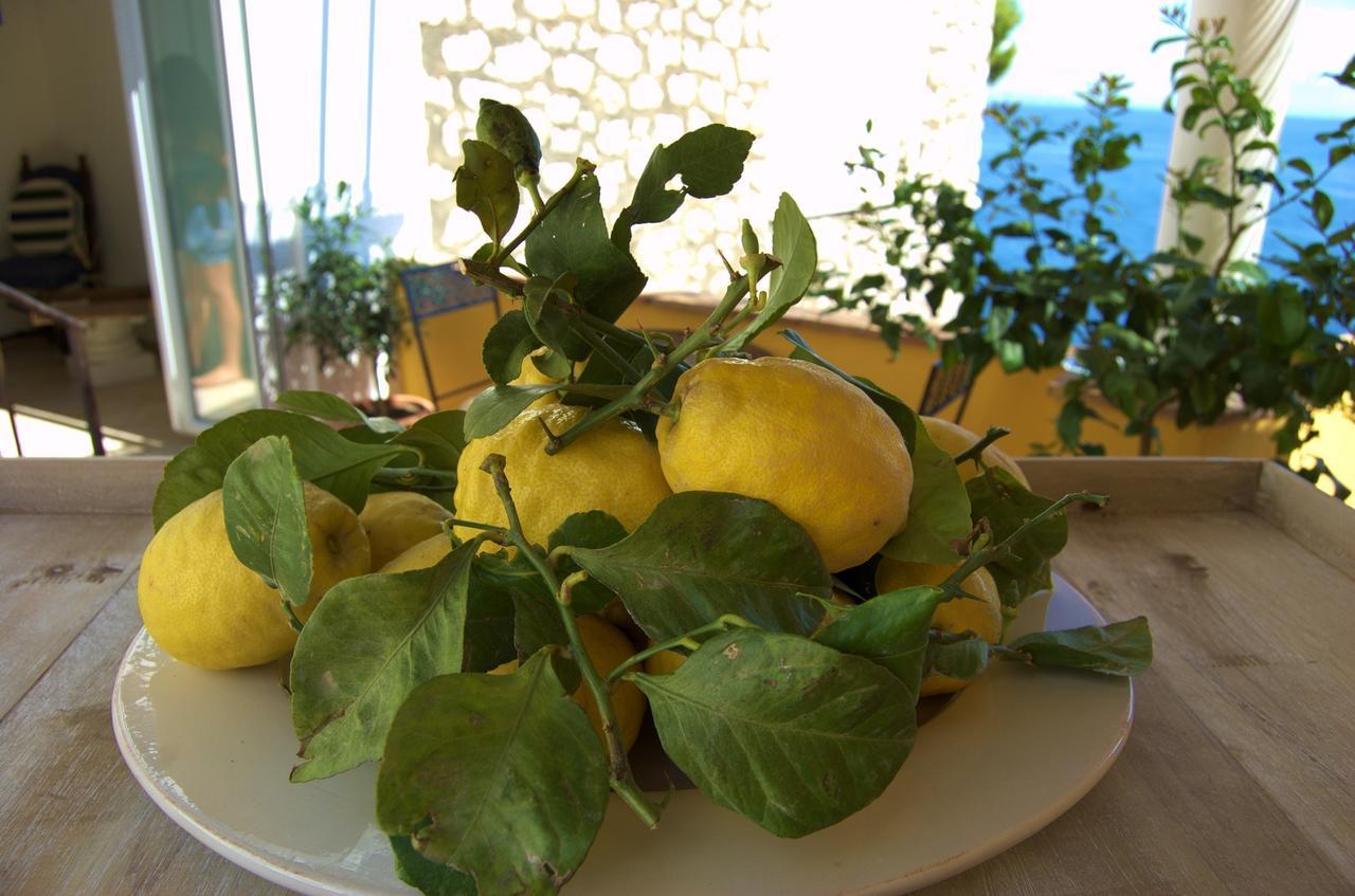 카프리 La Terrazza Sul Mare B&B 외부 사진